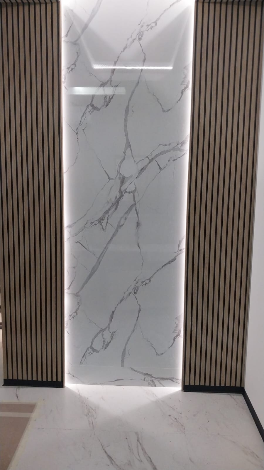 Проект № 20.2