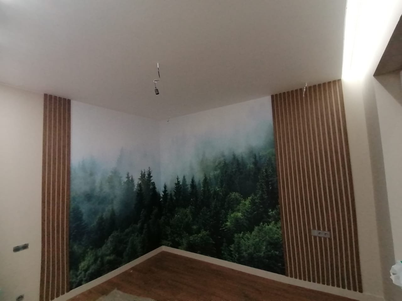 Проект № 91.1