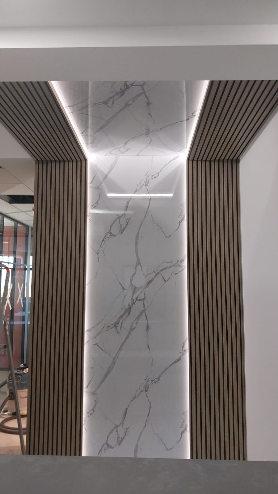 Проект № 20.3