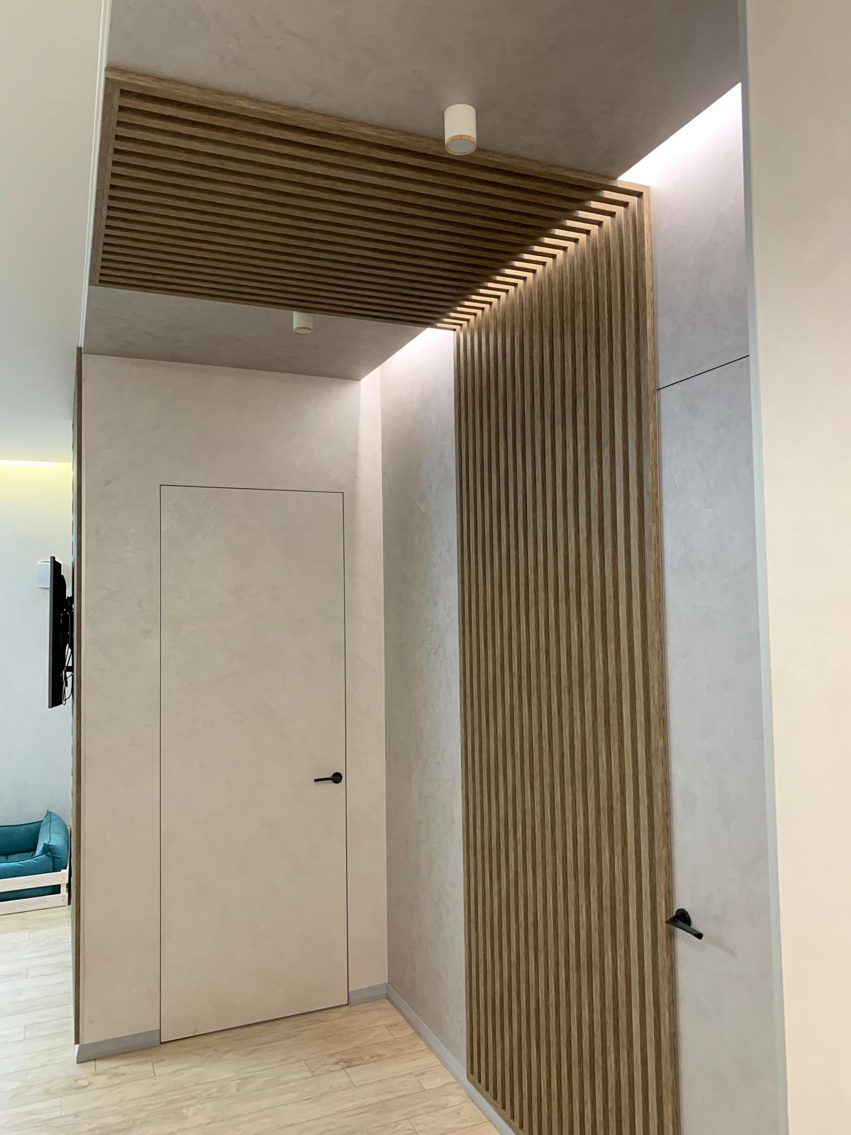 Проект № 33.1